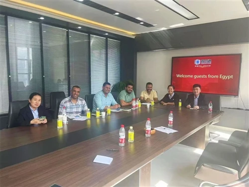 Egyptian Customer Visits Our Factory To Evaluate FRP Profiles, Raw Materials And Molds
