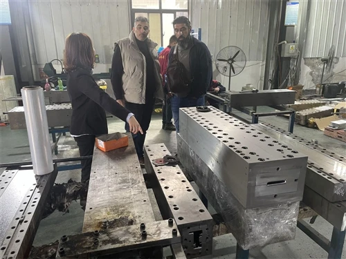 Overseas Customer Visits Our Factory And Places A Custom Profile Order After Mold Inspection